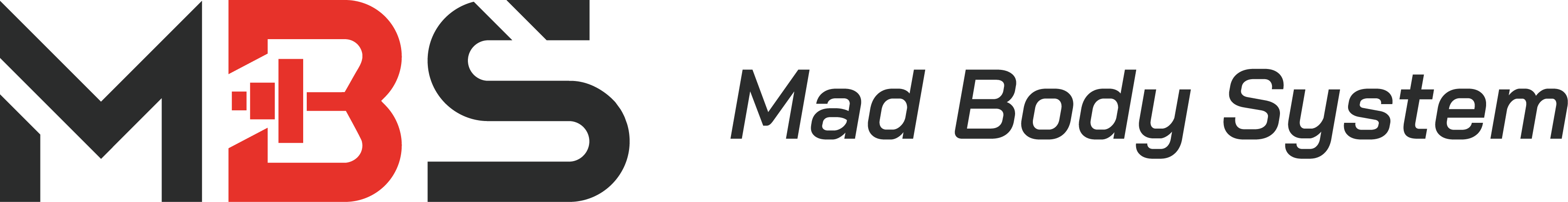 Mad Body System